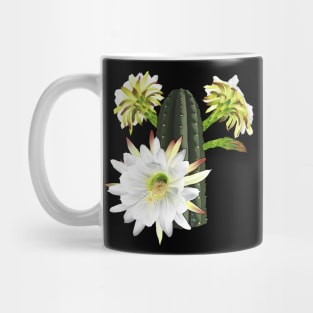 Trichocereus Pachanoi Flowering Mug